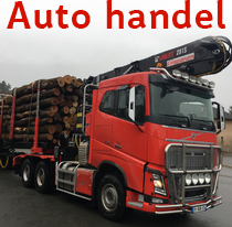 Auto handel